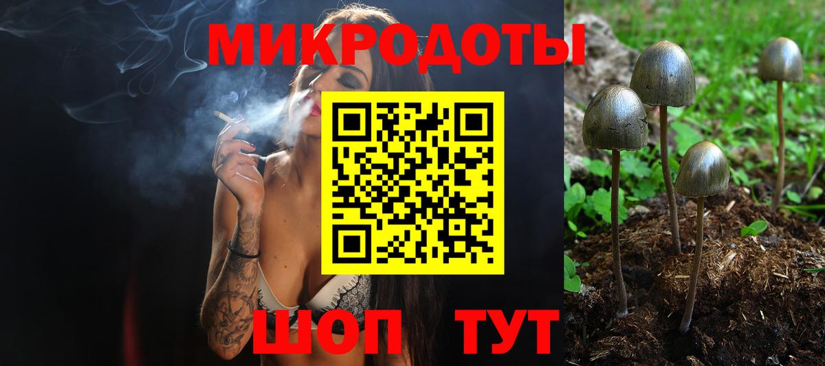 Королёв  Псилоцибиновые грибы прущие грибы  купить наркотики сайты  Вход с VPN 